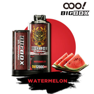 OOO! BIGBOX DTL/DL Einweg E-Zigarette Vape POD 12000 Züge 25ml Freie Basis mit einstellbarem Luftstrom wiederaufladbare